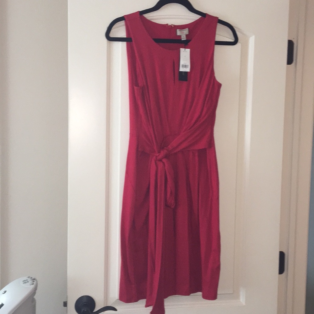 Banana Public dress